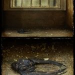 Dead Swallow on windowsill diptych, derelict Talgarth Asylum, Wales, UK