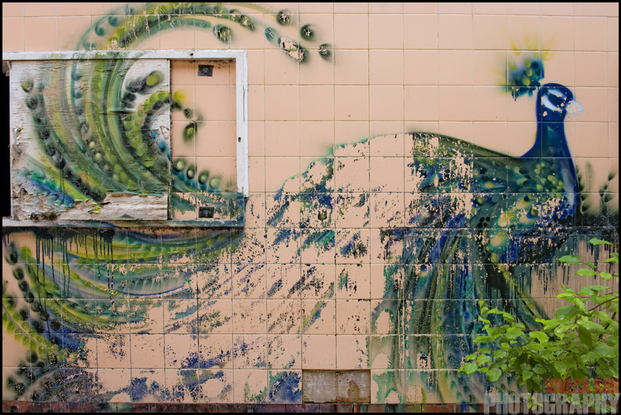 Faunagraphic Detail_3 Sheffield, UK