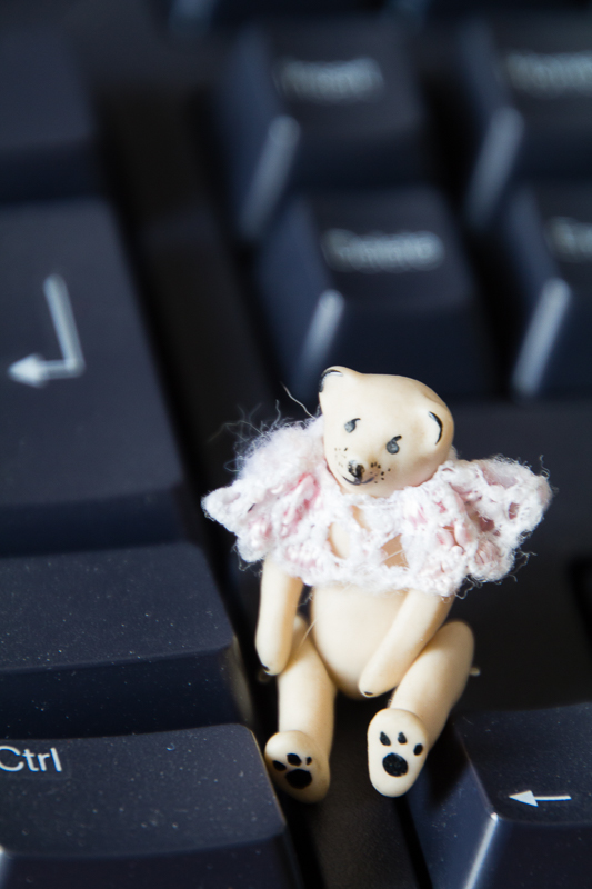 Keyboard Bear