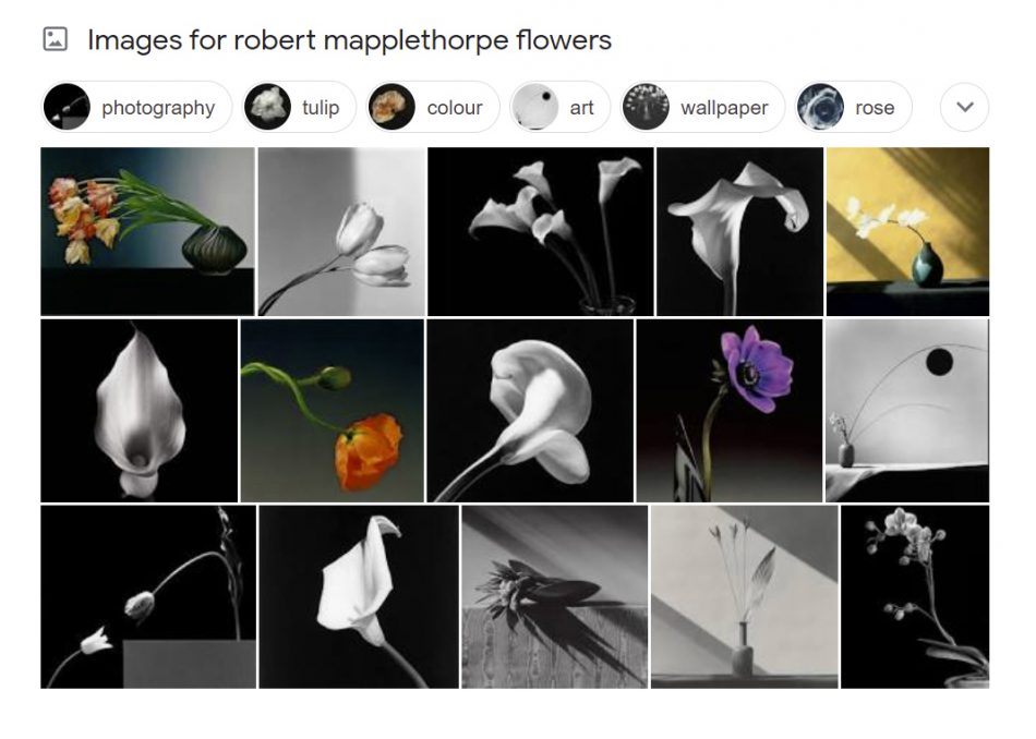 Robert Mapplethorpe flowers