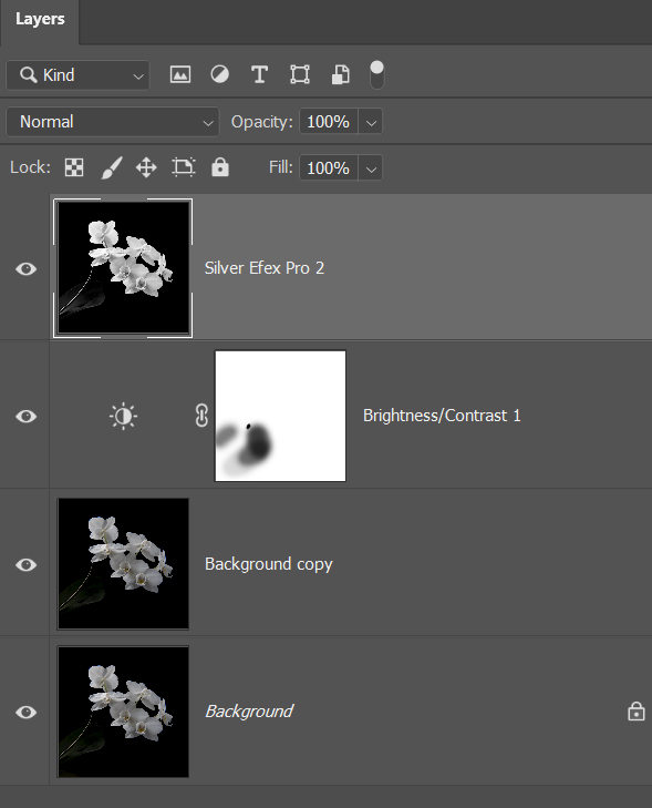 Photoshop layers panel showing processing used for this photograph